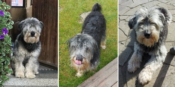 Pomozte prosím najít Ádu!