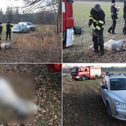 Poník se utopil v řece