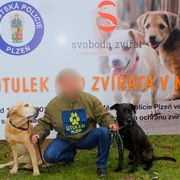 Milujete zvířata, chcete jim pomoct a nebojíte se práce?