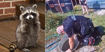 "Nudíte se? Kupte si medvídka mývala!"