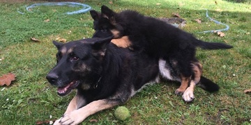 Pomozte prosím najít Ritu