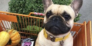 Nemocný Vašík je v ohrožení života