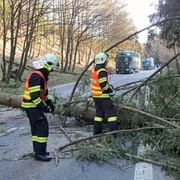 Hasiči zasahují u popadaných stromů