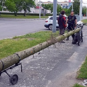 Jedu si takhle Plzní s ukradenou kládou...