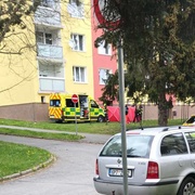 Muž pád z okna nepřežil