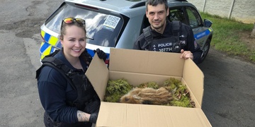 Děti se společně s policisty postaraly o zraněné zvíře