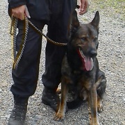 Hejtman včera ocenil úspěšné policisty