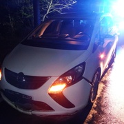 Strom spadl přímo před auto