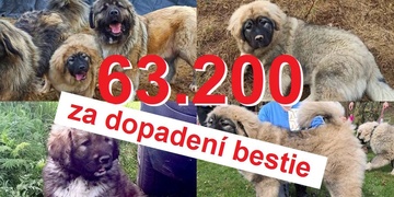 Odměna za informaci vedoucí k dopadení žháře stoupla na 63.200 korun! Děkujeme vám!