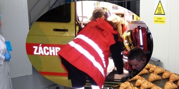 Lis vtáhl pekařku a ošklivě ji zranil