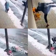 Narkoman kopl stařenku přímo do obličeje - pozor, článek obsahuje video značně nevhodné pro slabé povahy!
