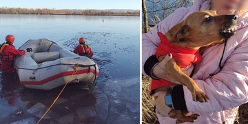 Záchrana psa Denise z ledové vody