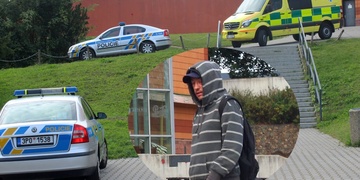 Zuřivé tůje napadly ženu a snažily se jí udusit kořeny