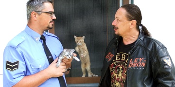 Míša Leicht a kočičáci od popelnic