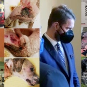 Za týráním Artuše byly zřejmě drogy