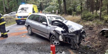 Řidička vyjela s vozidlem mimo vozovku a narazila do stromu