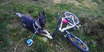 Díky, čtyřnozí parťáci