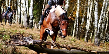 Díky záchranko a díky slečny z pošty!