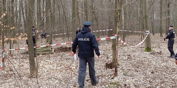 Mladý chlapec měl znásilnit v autě dívku