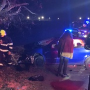 Auto s mladíky skončilo ve stromě