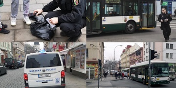 Trolejbus na Americké usmrtil psa