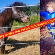 Pětiletý Ondra má svého milovaného poníka zpět. Děkujeme všem za sdílení!