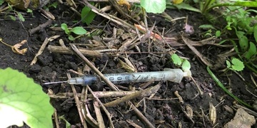 Pozor "buchna", ale i tunel pro brouky