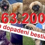 Odměna za informaci vedoucí k dopadení žháře stoupla na 63.200 korun! Děkujeme vám!