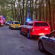 Auto se čtyřmi mladými lidmi narazilo do stromu