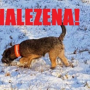 Emi je doma