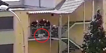 Pro nás je důležitý každý živý tvor