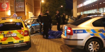 Žena umírala u Plazy a čumilové překáželi záchrance