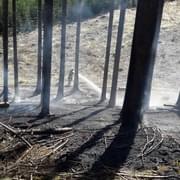 Čtyři jednotky hasičů bojují s lesním požárem
