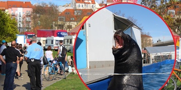 Závěr demonstrace: Cirkusáci dali vodu psům demonstrantů