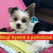 "Moc děkuji bystré a pohotové ženě!"