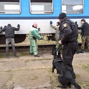 Střelba a křik zaznívající dnes z nádraží bylo jen cvičení