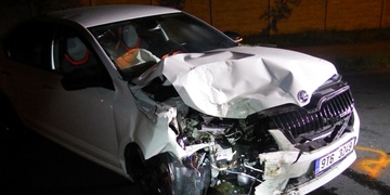 Mladý řidič v Plzni čelně narazil do stromu