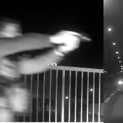 Petra H. zastavila až namířená policejní pistole