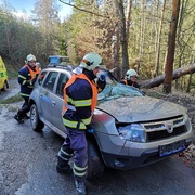 Strom spadl na projíždějící auto