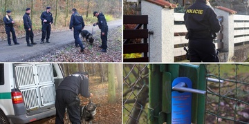 V Plzni na Borech před pár hodinami skončila akce "Chaty"