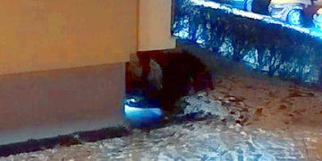 Cizinec se přes balkon dobýval do cizího bytu