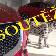 Soutěžte s Dajbychem a Jaguárem