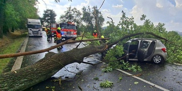 Vzrostlý strom se zřítil na projíždějící automobil