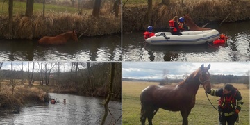 O život koně v řece bojovali hasiči