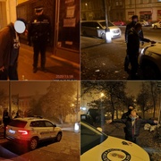 Noční procházka, krádež masa i přehrabování se v popelnicích