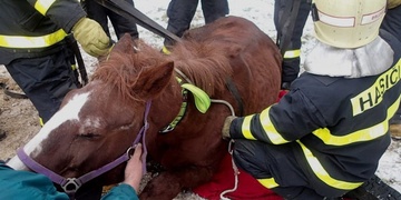 Hasiči právě zachraňují koně