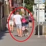 Krvavý útok na zahradě v Plzni, muž pro zábavu poštval psa na králíka a sledoval jeho smrt