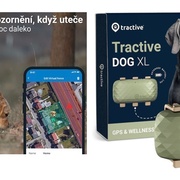 Víte jak vašemu čtyřnohému parťákovi usnadnit svátky?