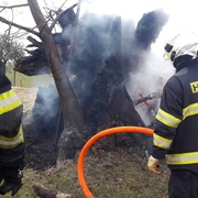 Torzo Kyjovské lípy zachvátil požár