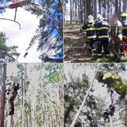 Aktualizováno: Dva armádní výsadkáři uvízli v korunách stromů -